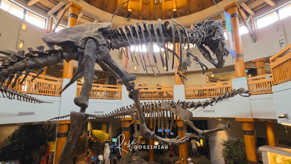 Jurassic Park Discovery Center - Foto: Rafa Gosziniak
