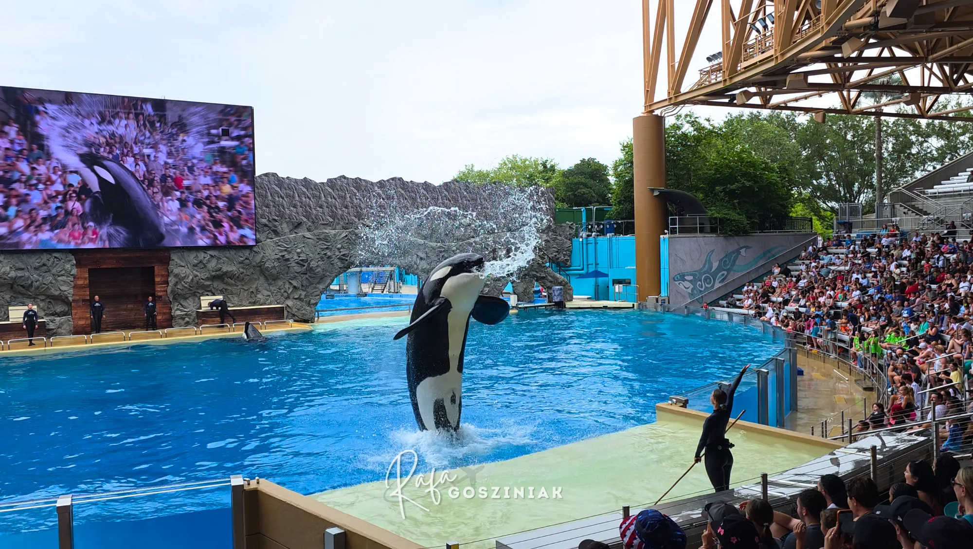 SeaWorld Orlando: guia completo de atrações, shows, animais e dicas para visitar o parque