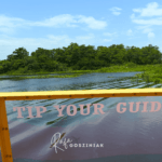 Passeio por Everglades: guia completo para fazer o passeio de airboat em Miccosukee e conhecer a cultura indígena na Flórida