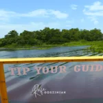 Passeio por Everglades: guia completo para fazer o passeio de airboat em Miccosukee e conhecer a cultura indígena na Flórida