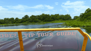Passeio por Everglades: guia completo para fazer o passeio de airboat em Miccosukee e conhecer a cultura indígena na Flórida