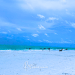 Anna Maria Island: guia completo para conhecer uma das praias mais bonitas da Flórida