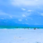 Anna Maria Island: guia completo para conhecer uma das praias mais bonitas da Flórida