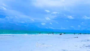 Anna Maria Island: guia completo para conhecer uma das praias mais bonitas da Flórida